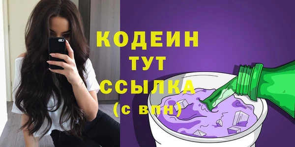 тгк Инсар