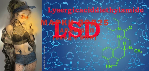 PSILOCYBIN Иннополис