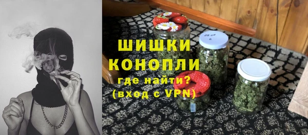 тгк Инсар