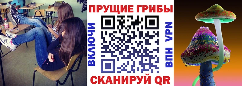 Псилоцибиновые грибы прущие грибы  цена наркотик  Сурск 